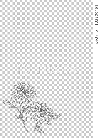 哀悼明信片〈菊花〉 A-1 133800468