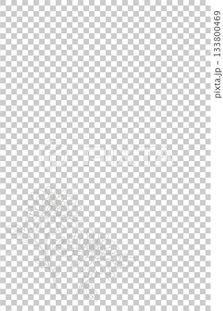 喪中ハガキ〈キク〉 A-2 喪中ハガキ〈キク〉 A-2 133800469