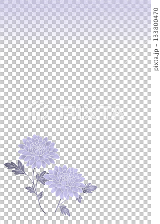 哀悼明信片〈菊花〉 A-3 哀悼明信片〈菊花〉 A-3 133800470