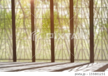 Glass window with metal bars 133801231