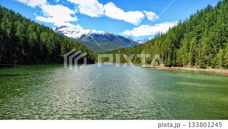Idyllic shot of river amidst forest Idyllic shot of river amidst forest 133801245