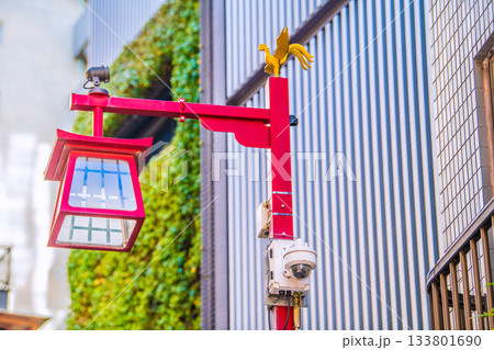 日本の東京都市景観　外国人観光客らで賑わう浅草。浅草寺近く、雷門一之宮商店街の防犯カメラなどを望む 133801690