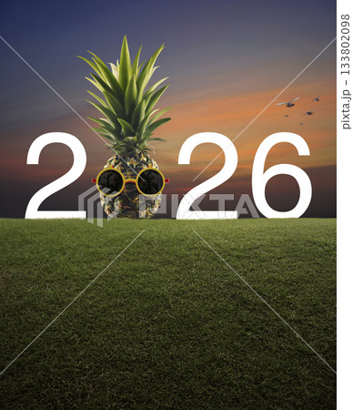Happy new year 2026 summer holiday concept 133802098