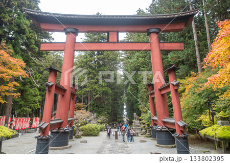 Kitaguchi Hongu Fuji Sengen, Kamiyoshida, Fujiyoshida, Yamanashi, Japan - Nov 18, 2024 : Red torii gate at forest entrance with visitors walking in autumn park 133802395