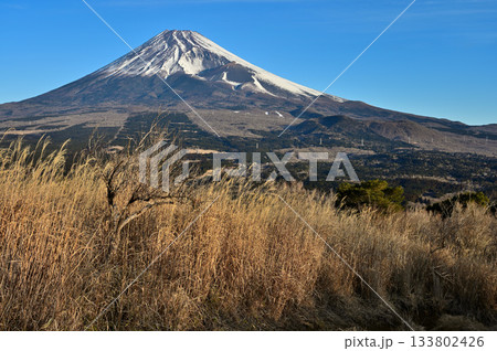 愛鷹山塊の越前岳 朝日射す山地と富士山 愛鷹山塊の越前岳 朝日射す山地と富士山 133802426