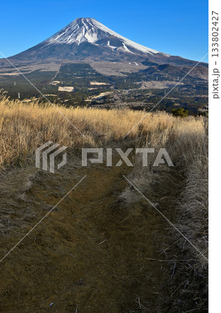 愛鷹山塊の越前岳 カヤトの登山道から望む富士山 愛鷹山塊の越前岳 カヤトの登山道から望む富士山 133802427