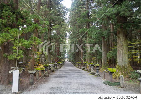 Kitaguchi Hongu Fuji Sengen, Kamiyoshida, Fujiyoshida, Yamanashi, Japan, Pathway lined with stone lanterns through tall forest trees in peaceful park Kitaguchi Hongu Fuji Sengen, Kamiyoshida, Fujiyoshida, Yamanashi, Japan, Pathway lined with stone lanterns through tall forest trees in peaceful park 133802454