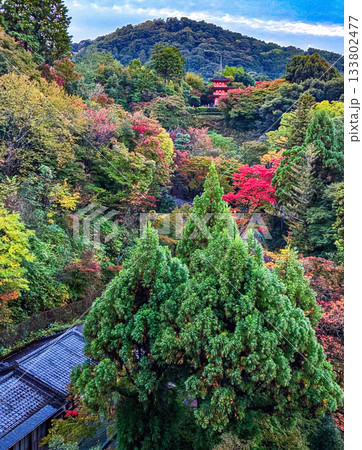 京都、清水寺の子安の塔 133802477