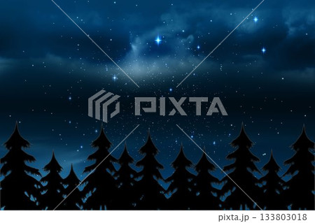 Starry sky over fir trees 133803018