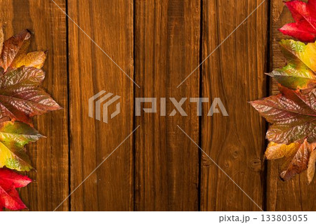 Top-down view showing autumn leaves clustering along wooden plank edges, flat design, copy space Top-down view showing autumn leaves clustering along wooden plank edges, flat design, copy space 133803055
