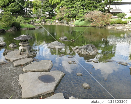 墨田区の旧安田庭園(心字池・雪見灯籠) 墨田区の旧安田庭園(心字池・雪見灯籠) 133803305