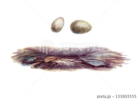 Birds nest and two speckled eggs isolated watercolor illustration.Hand painted earth colors with soft paper texture,nature set for childrens books,spring projects and nurturing themes 133803555