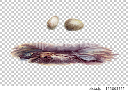 Birds nest and two speckled eggs isolated watercolor illustration.Hand painted earth colors with soft paper texture,nature set for childrens books,spring projects and nurturing themes Birds nest and two speckled eggs isolated watercolor illustration.Hand painted earth colors with soft paper texture,nature set for childrens books,spring projects and nurturing themes 133803555