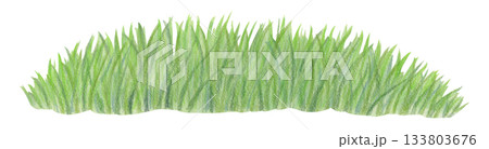 Watercolor green grass border isolated on white. Natural meadow grass element for landscape design, spring and summer projects. 133803676