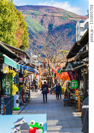 松本市 縄手通り ※一部ソフトフォーカス 松本市 縄手通り ※一部ソフトフォーカス 133803708