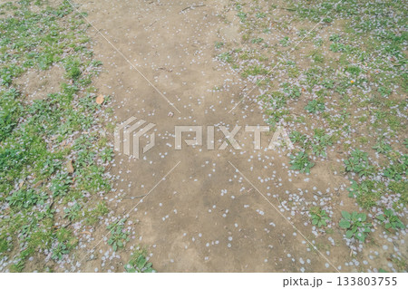 various various 133803755