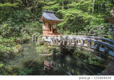 茨城　花園神社の神池 133804039