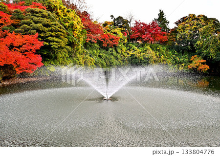 高岡古城公園の紅葉 噴水のある風景 高岡古城公園の紅葉 噴水のある風景 133804776
