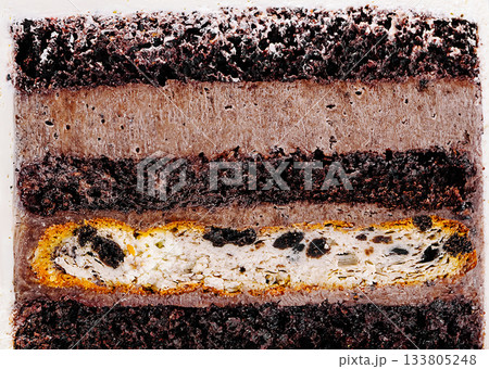 Layers of rich chocolate cake with creamy filling and unique textures 133805248