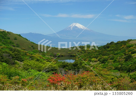 伊豆スカイラインから望む青空を背景にした初夏の富士山と氷が池の景色 Ver1 伊豆スカイラインから望む青空を背景にした初夏の富士山と氷が池の景色 Ver1 133805260