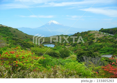伊豆スカイラインから望む青空を背景にした初夏の富士山と氷が池の景色　Ver2 133805263