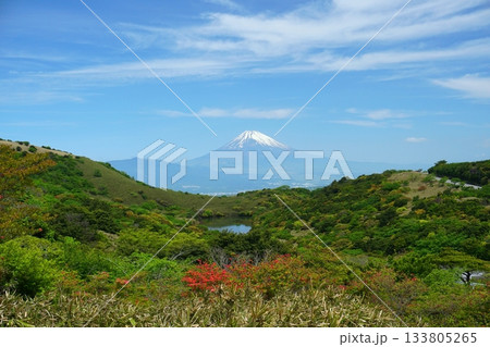 伊豆スカイラインから望む青空を背景にした初夏の富士山と氷が池の景色 Ver3 伊豆スカイラインから望む青空を背景にした初夏の富士山と氷が池の景色 Ver3 133805265
