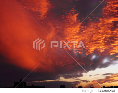 川口市の荒川堤から見えた燃えるような夕焼け 川口市の荒川堤から見えた燃えるような夕焼け 133806238