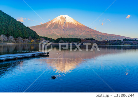 【静岡県】田貫湖から望む富士山 秋の夕暮れ 【静岡県】田貫湖から望む富士山 秋の夕暮れ 133806244