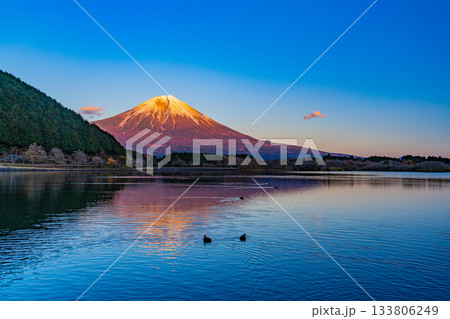 【静岡県】田貫湖から望む富士山　秋の夕暮れ 133806249