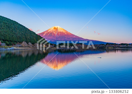 【静岡県】田貫湖から望む富士山 秋の夕暮れ 【静岡県】田貫湖から望む富士山 秋の夕暮れ 133806252