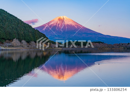 【静岡県】田貫湖から望む富士山 秋の夕暮れ 【静岡県】田貫湖から望む富士山 秋の夕暮れ 133806254