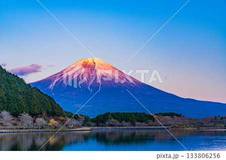 【静岡県】田貫湖から望む富士山 秋の夕暮れ 【静岡県】田貫湖から望む富士山 秋の夕暮れ 133806256