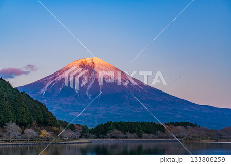 【静岡県】田貫湖から望む富士山　秋の夕暮れ 133806259