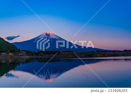 【静岡県】田貫湖から望む富士山　秋の夕暮れ 133806265