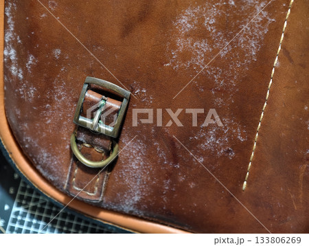 Close-up of mold growth on an old brown leather bag, showing white fungal patches and texture details. Useful for illustrating moisture damage, decay, and leather maintenance issues. 133806269