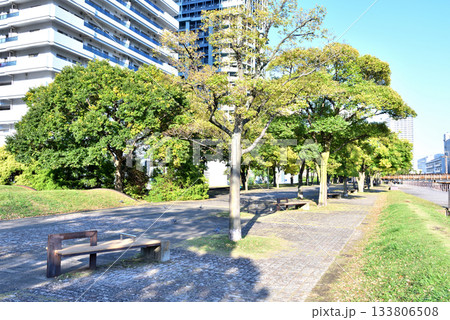 横浜ポートサイド公園風景 133806508