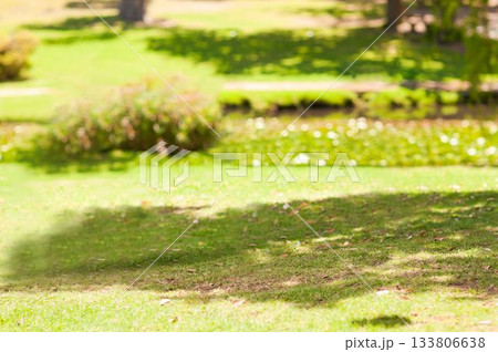 Father playing football with his son Father playing football with his son 133806638