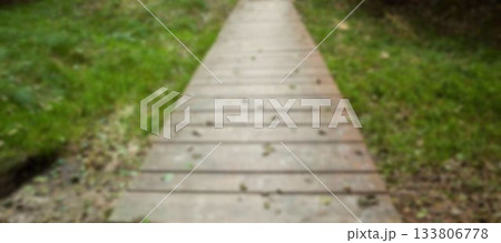 High angle view of empty walkway at park 133806778