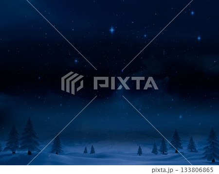 Digitally generated Night sky over forest 133806865