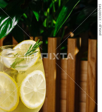Fresh lemon drink garnished with herbs beside wooden fence and greenery 133807045