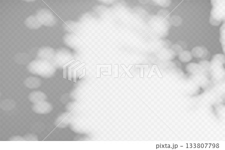 Abstract shadow overlay from foliage tree branch on a transparent background. 133807798