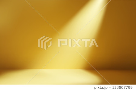Orange room with natural light and leaves, shadow on the wall. Abstract sunlight studio backdrop. 133807799
