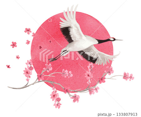 Flyind japanese red crown crane flying on the sun and sakura flowers on background. Watercolor handmade illustration. For fabric, wallpaper, greeting cards, design, decoration and illustration. Flyind japanese red crown crane flying on the sun and sakura flowers on background. Watercolor handmade illustration. For fabric, wallpaper, greeting cards, design, decoration and illustration. 133807913