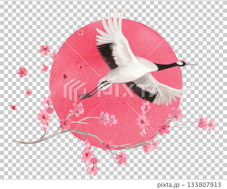 Flyind japanese red crown crane flying on the sun and sakura flowers on background. Watercolor handmade illustration. For fabric, wallpaper, greeting cards, design, decoration and illustration. Flyind japanese red crown crane flying on the sun and sakura flowers on background. Watercolor handmade illustration. For fabric, wallpaper, greeting cards, design, decoration and illustration. 133807913