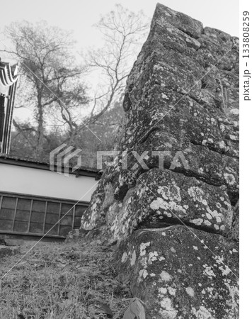 モノクロ、人吉城跡の石垣 133808259