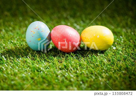 Colorful Easter eggs on grass in garden Colorful Easter eggs on grass in garden 133808472