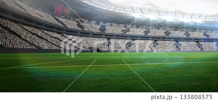 Vector illustration showing green grass field, seating with spectators, steel roof and floodlights 133808575