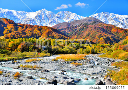 白馬大橋／松川より白馬三山方面を望む(長野県白馬村)【2025.11】 133809055
