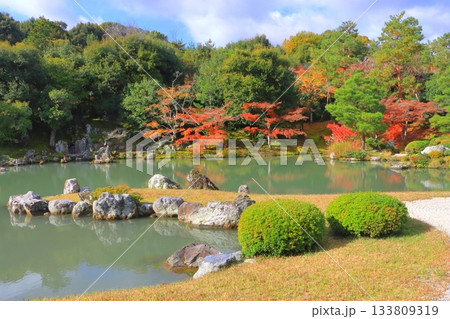 秋の天龍寺(曹源池・京都市) 秋の天龍寺(曹源池・京都市) 133809319