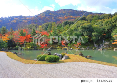 秋の天龍寺(曹源池・京都市) 秋の天龍寺(曹源池・京都市) 133809331